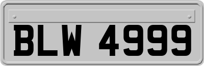 BLW4999