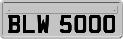 BLW5000