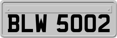 BLW5002