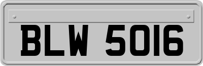 BLW5016