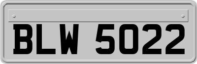 BLW5022