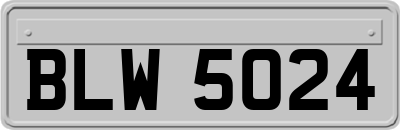 BLW5024