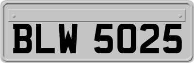 BLW5025