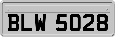 BLW5028