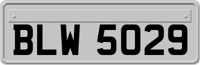 BLW5029