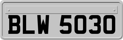 BLW5030