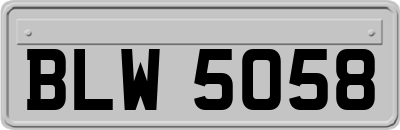 BLW5058