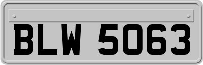 BLW5063