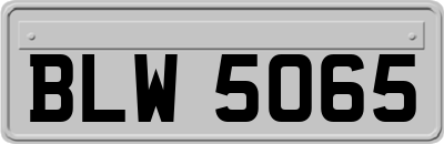 BLW5065