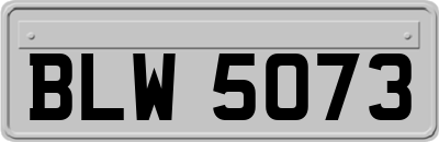 BLW5073
