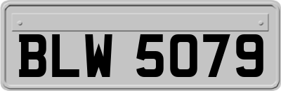 BLW5079