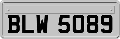 BLW5089