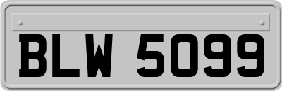 BLW5099