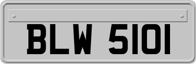 BLW5101