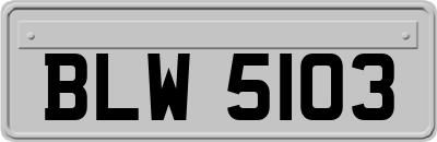 BLW5103