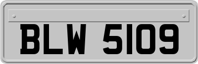 BLW5109