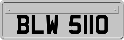BLW5110