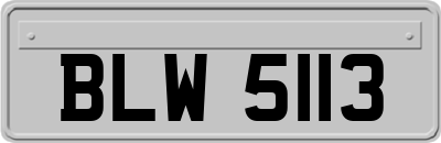 BLW5113