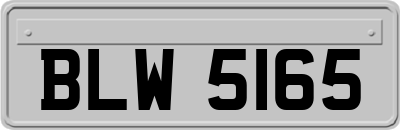 BLW5165