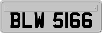 BLW5166
