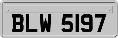 BLW5197