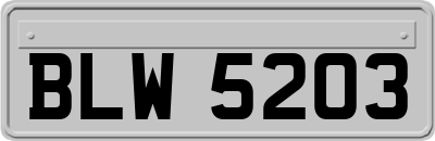 BLW5203