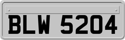 BLW5204