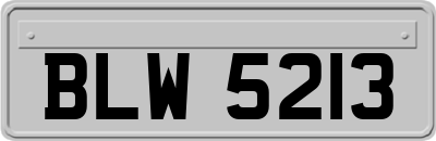 BLW5213