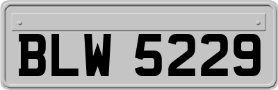 BLW5229