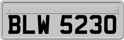 BLW5230