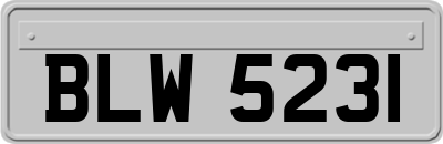 BLW5231