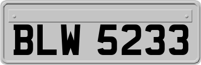 BLW5233