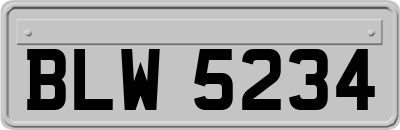 BLW5234