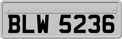 BLW5236
