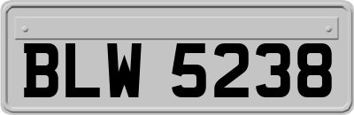 BLW5238