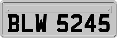 BLW5245