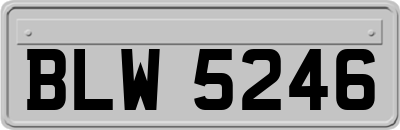 BLW5246