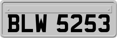 BLW5253