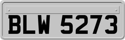 BLW5273