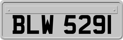 BLW5291
