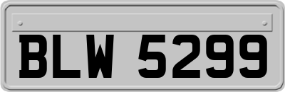 BLW5299