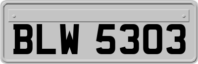 BLW5303