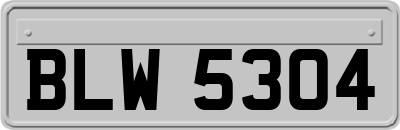 BLW5304