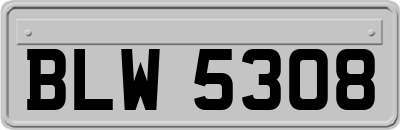 BLW5308