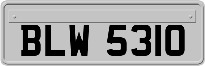 BLW5310