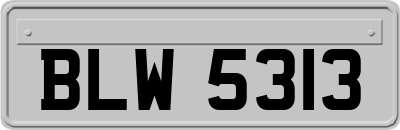 BLW5313