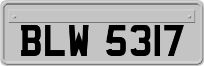 BLW5317