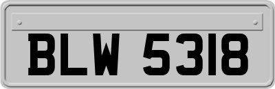 BLW5318