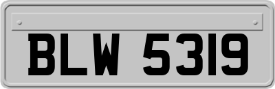BLW5319