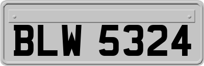 BLW5324